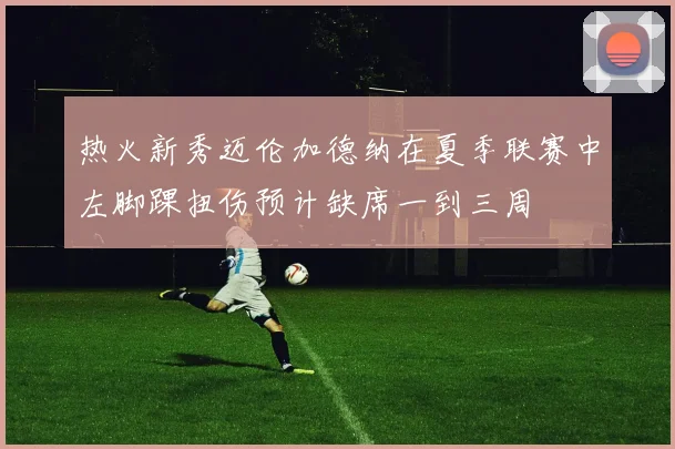 热火新秀迈伦加德纳在夏季联赛中左脚踝扭伤预计缺席一到三周